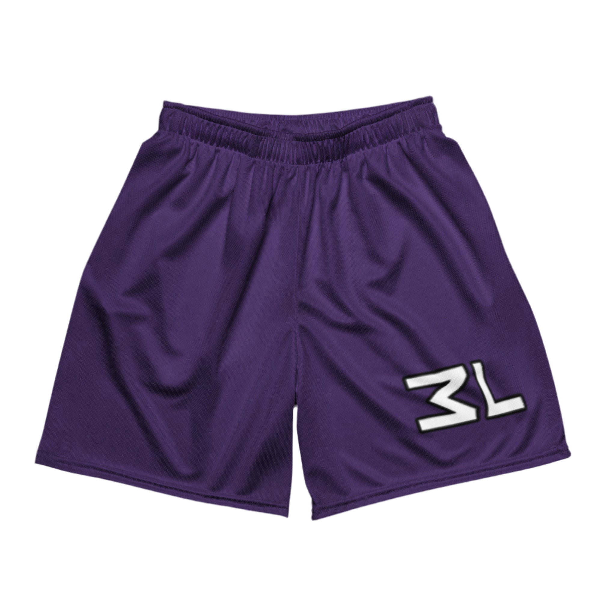 Mesh Shorts Purple