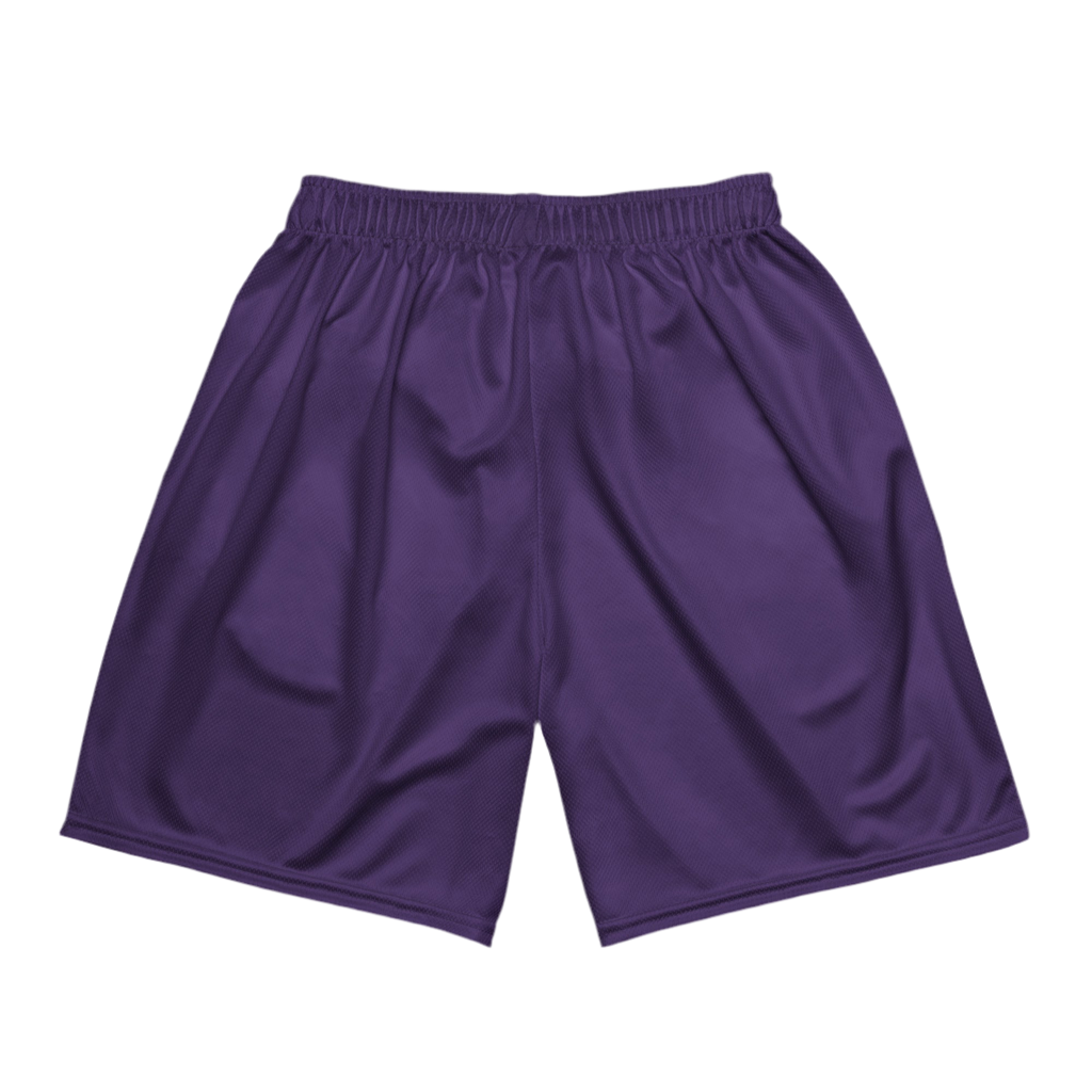 Mesh Shorts Purple