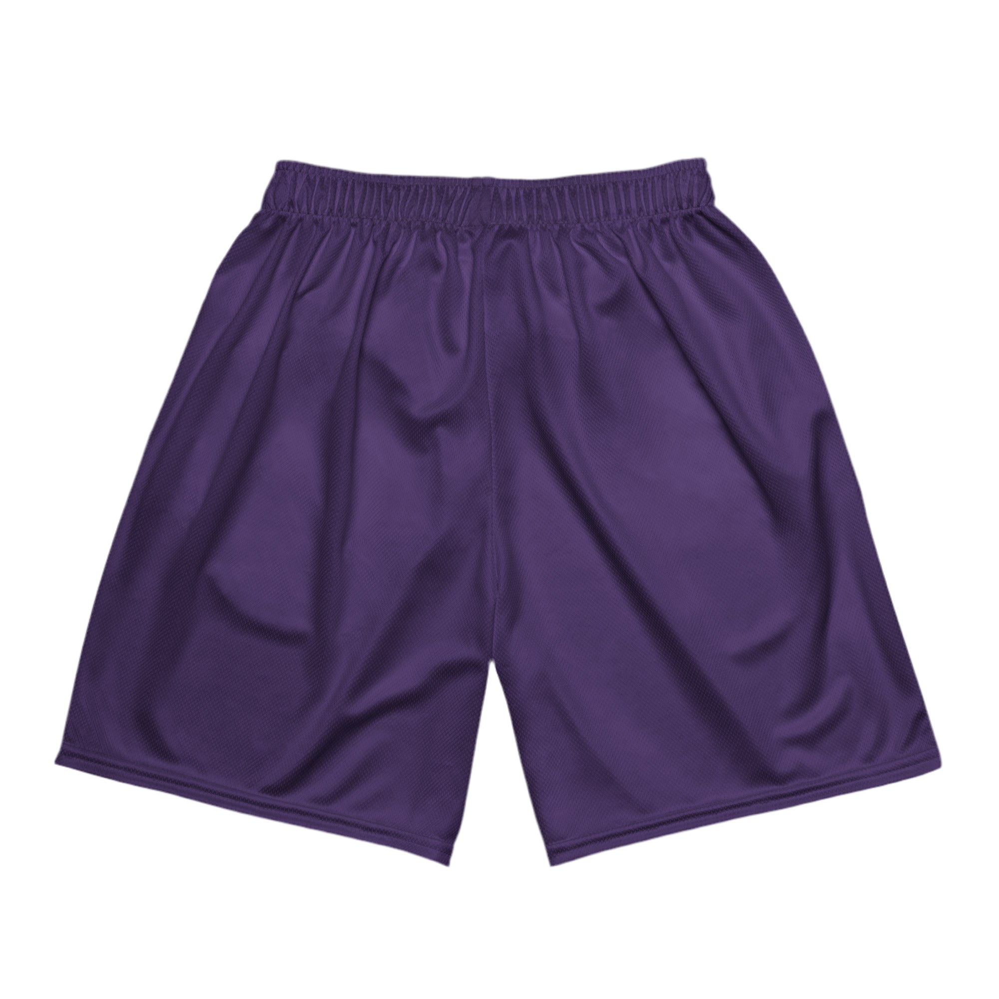 Mesh Shorts Purple